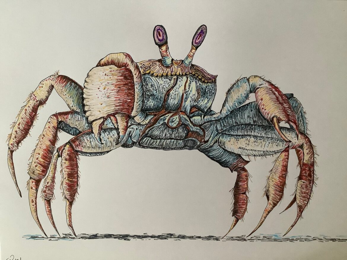 Why The Crab Lost Its Head by Genevieve M. Wutoh