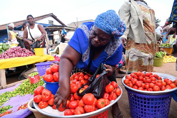 GAWU Forecasts Continued High Food Prices Until June 2024