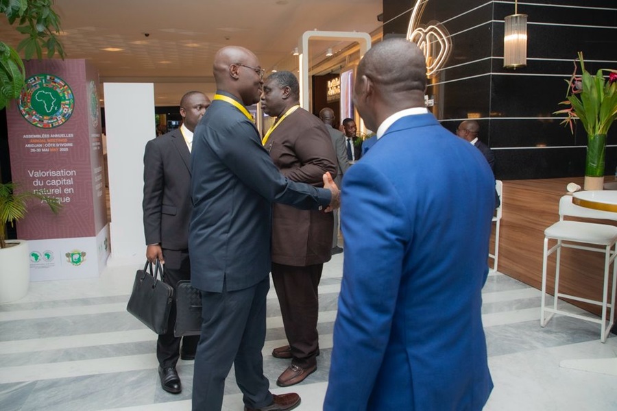 Finance Minister appointed Returning Officer for AfDB presidential elections