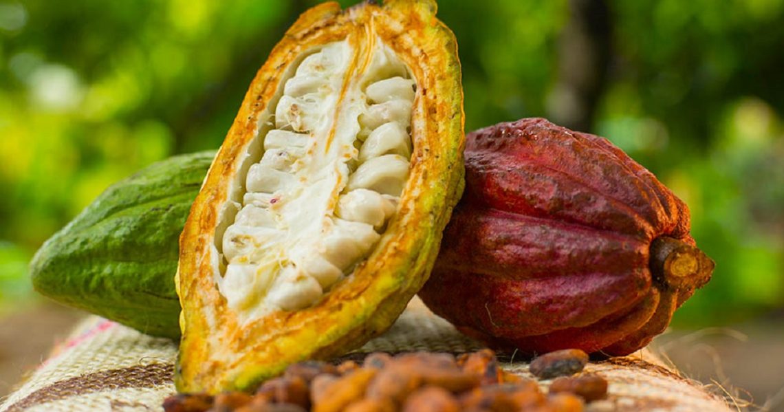 Government increases producer price of cocoa to $5,040 per tonne effective August 7