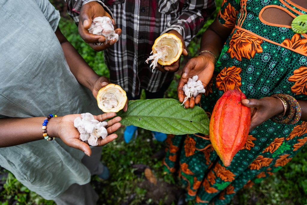 Minority slams government over ‘unfulfilled’ cocoa price promise